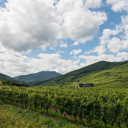 La Maison Jaune Ammerschwihr Kültér fotó