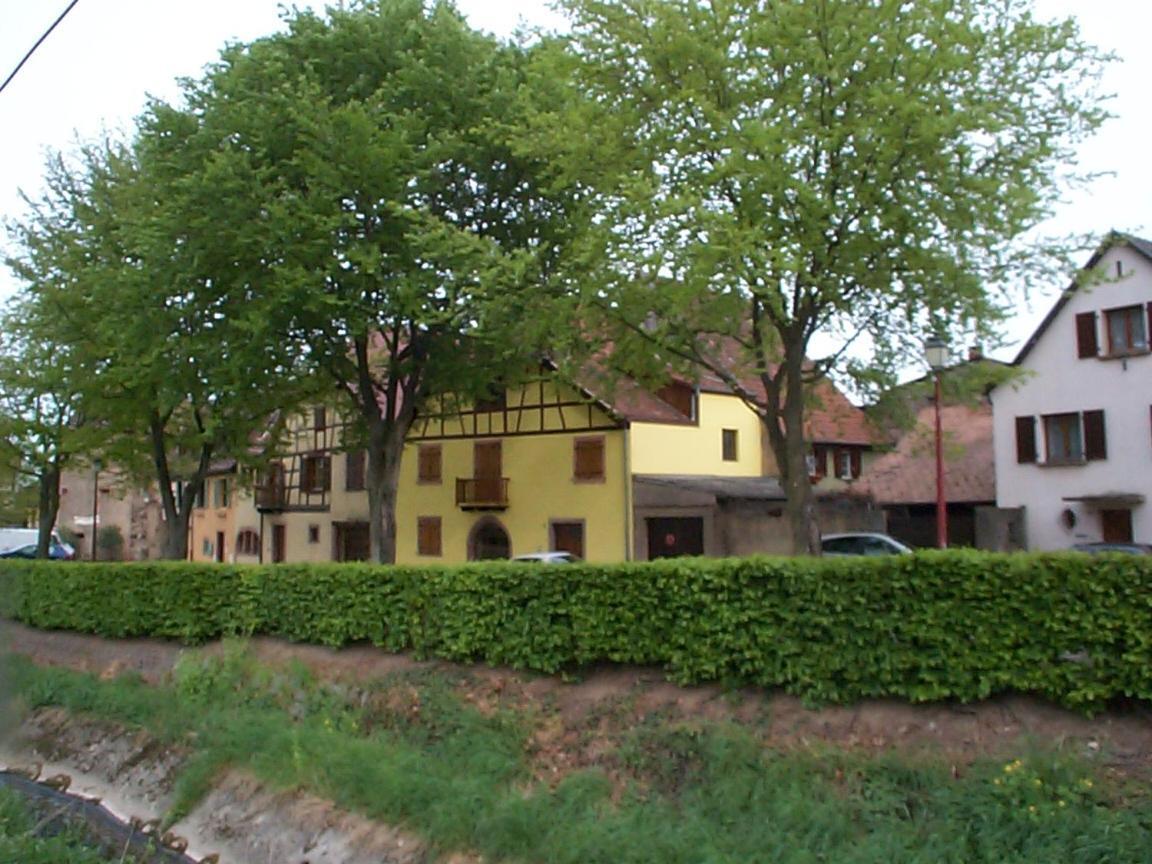 La Maison Jaune Ammerschwihr Kültér fotó